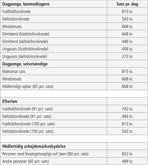 Socialt sikkerhedsnet